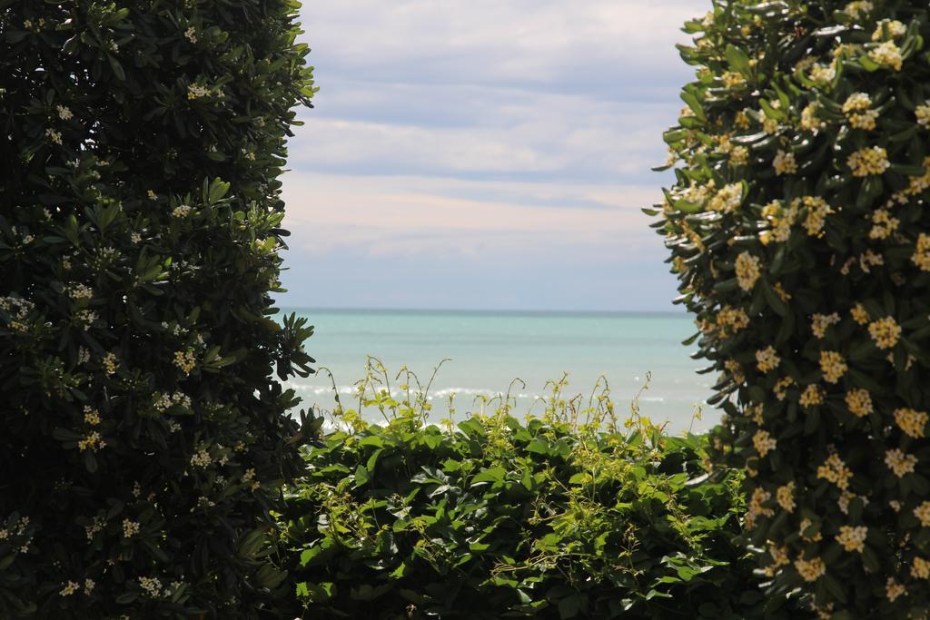 All'Etrusconia Hotel Castagneto Carducci Marina di Castagneto Carducci Kültér fotó